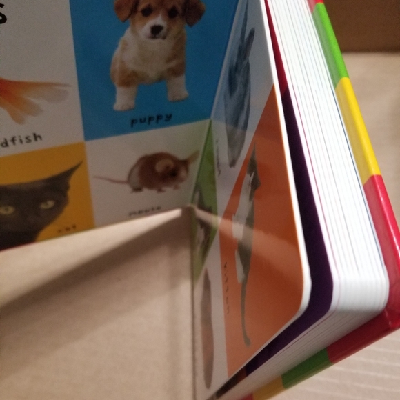 Priddy Books board books set, First 100 Words & First 100 Animals - Picture 6 of 6